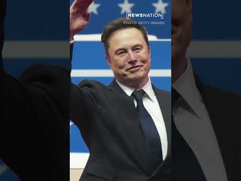 Elon Musk ‘doesn’t have any power’ in the White House: Bill O’Reilly