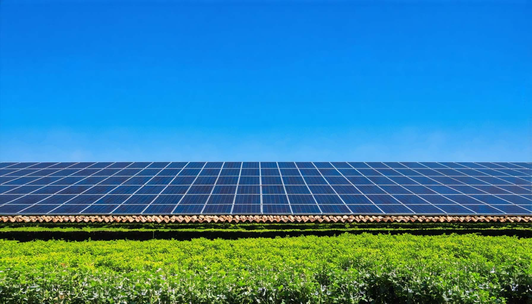 The Secret Behind Morocco’s Green Energy Revolution: What The World Can Learn
